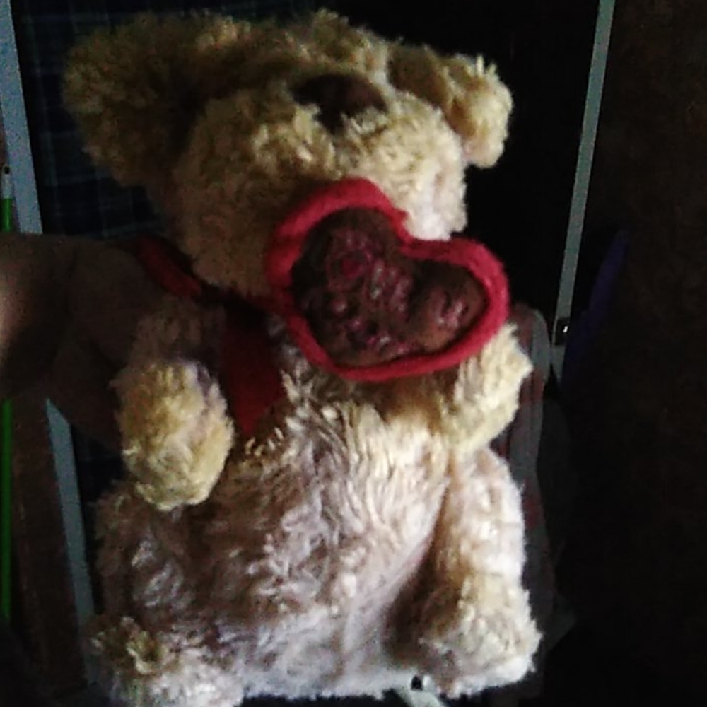 Teddy bear
